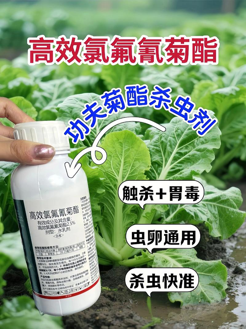 固原代生中心:农药对供卵代生妈妈的危害